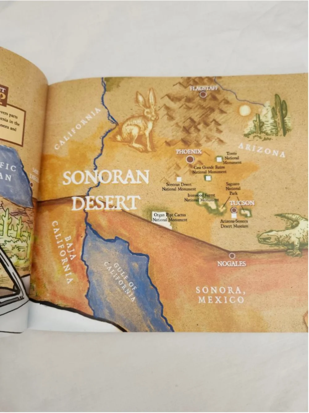 Boys Farcounrty Press Kids Book Who Pooped in the Sonoran Desert One Size Brown